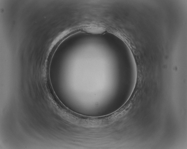 X0000083010008200702021101