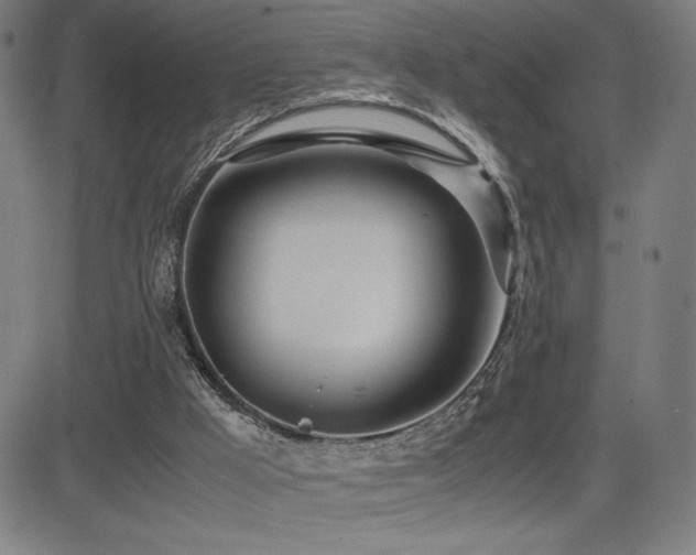 X0000083010009200702021101