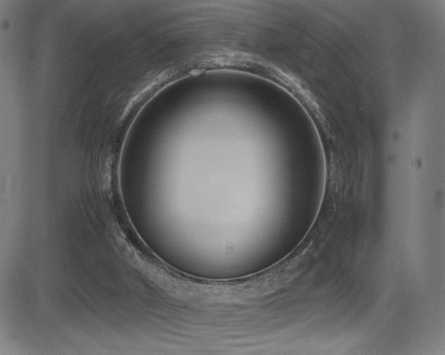 X0000083010010200702021101