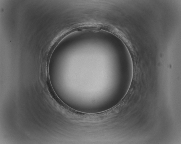 X0000083010011200702021101