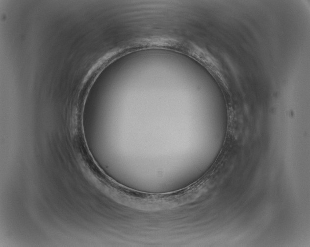 X0000083010012200702021101