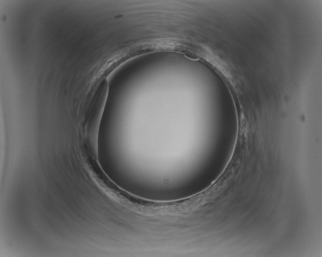 X0000083010013200702021101