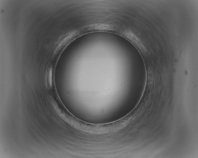 X0000083010014200702021101