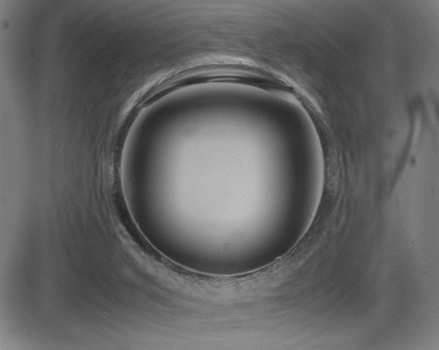 X0000083010015200702021101