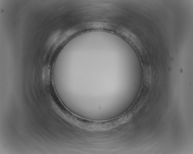 X0000083010016200702021101