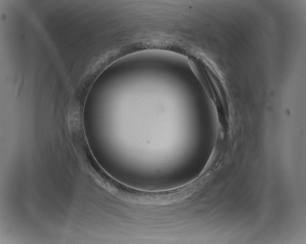 X0000083010017200702021101