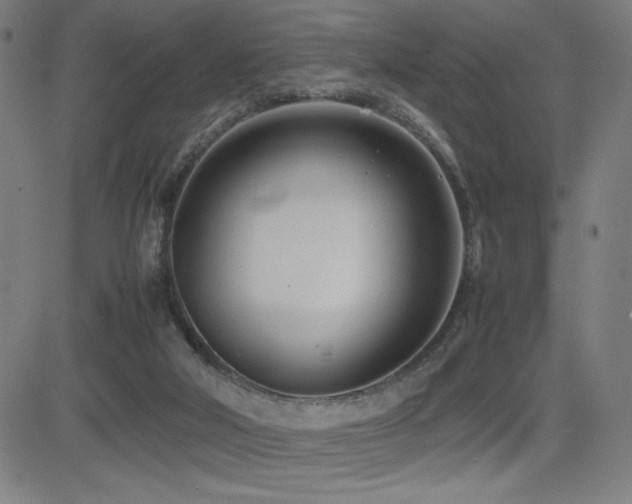 X0000083010018200702021101