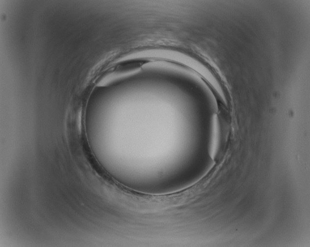 X0000083010019200702021101