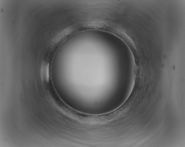 X0000083010020200702021101