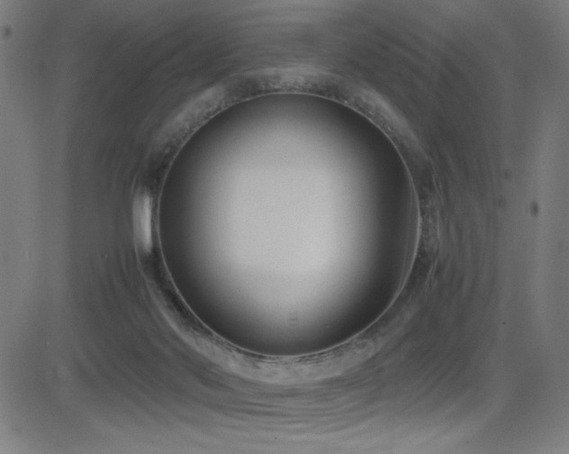 X0000083010022200702021101