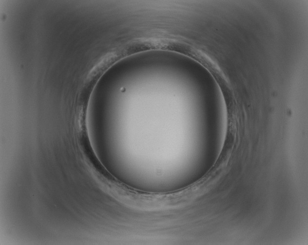 X0000083010023200702021101