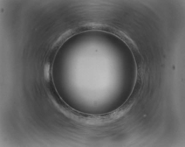 X0000083010024200702021101