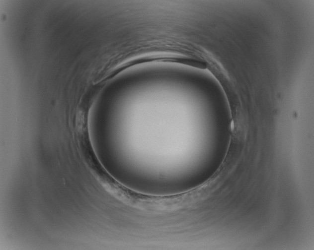 X0000083010025200702021101