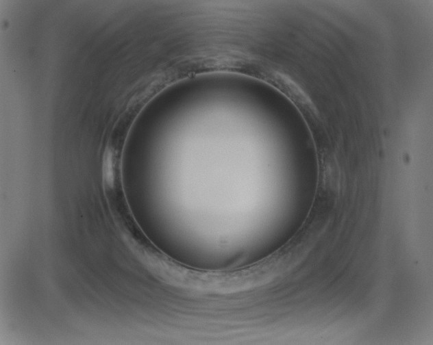 X0000083010026200702021101