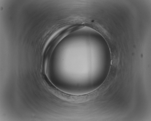 X0000083010027200702021101