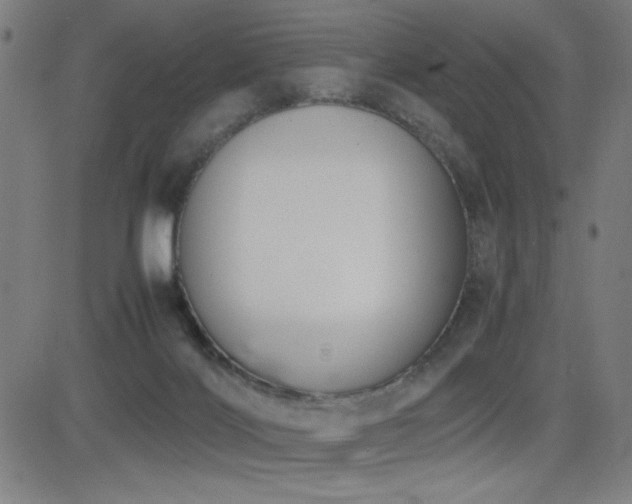 X0000083010028200702021101