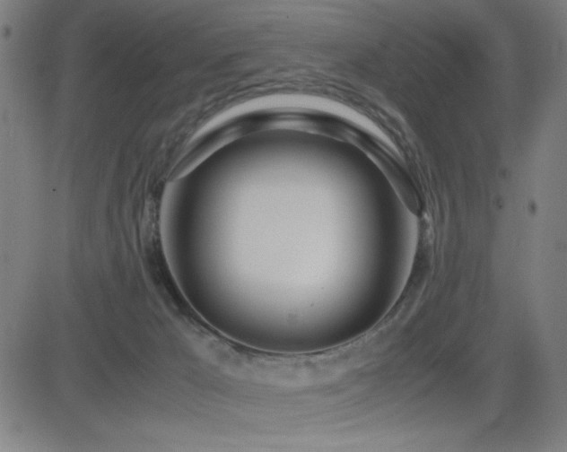 X0000083010029200702021101