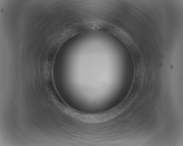 X0000083010030200702021101