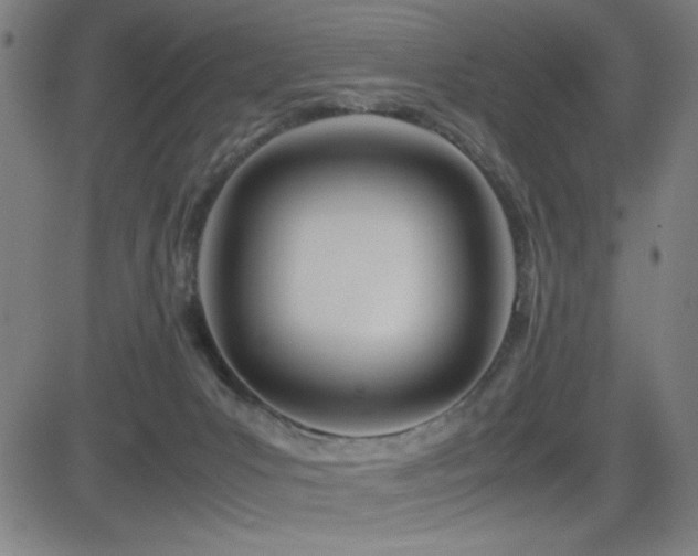 X0000083010031200702021101