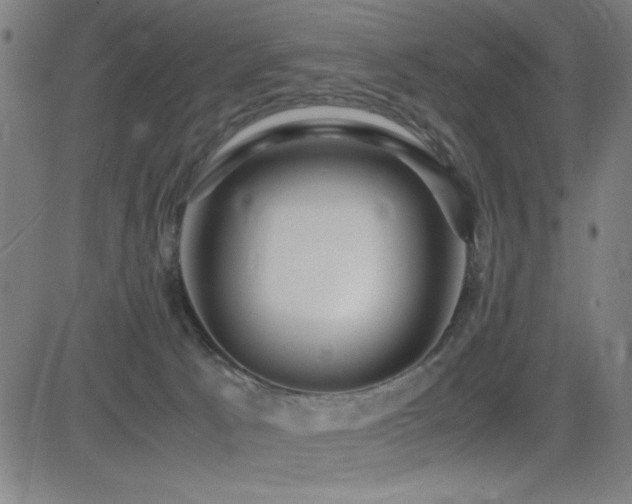 X0000083010033200702021101