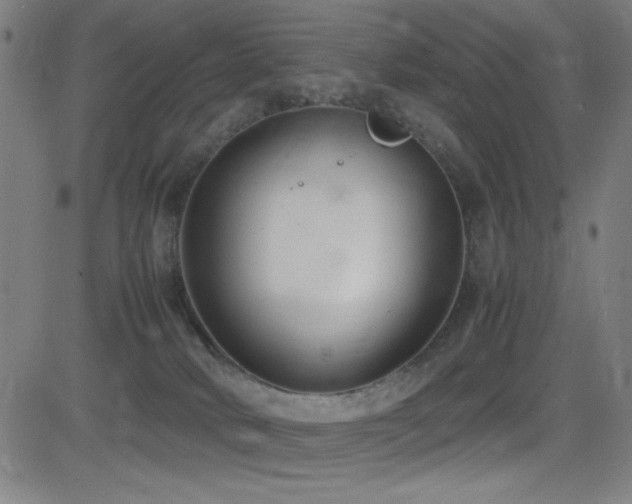 X0000083010034200702021101