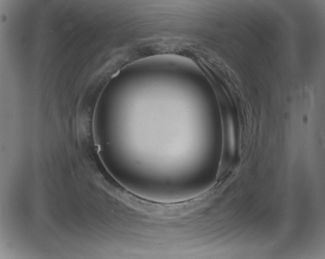 X0000083010035200702021101