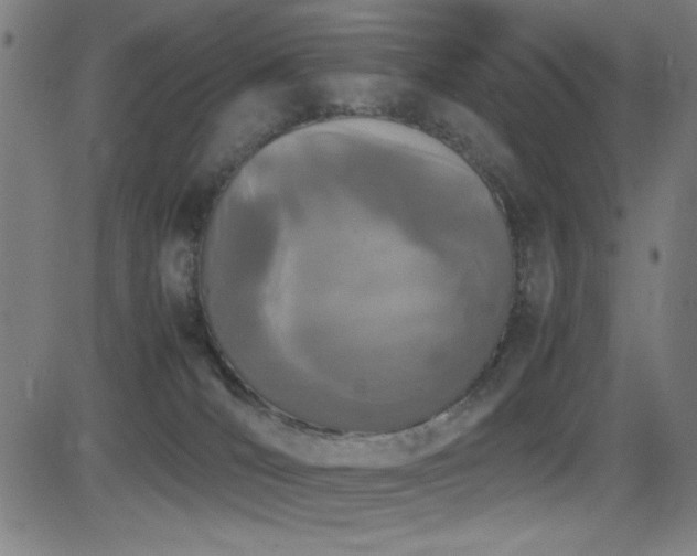 X0000083010036200702021100