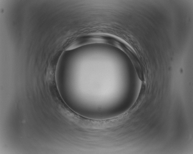 X0000083010037200702021100