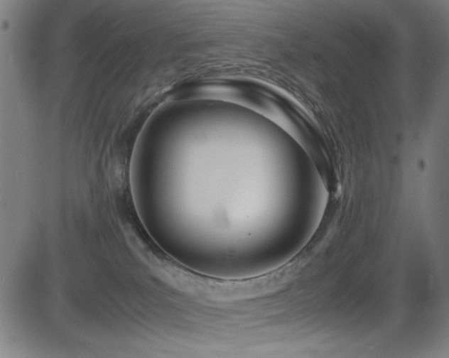 X0000083010039200702021100