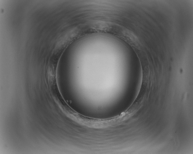 X0000083010040200702021100