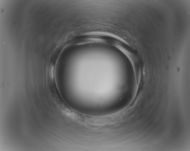 X0000083010041200702021100