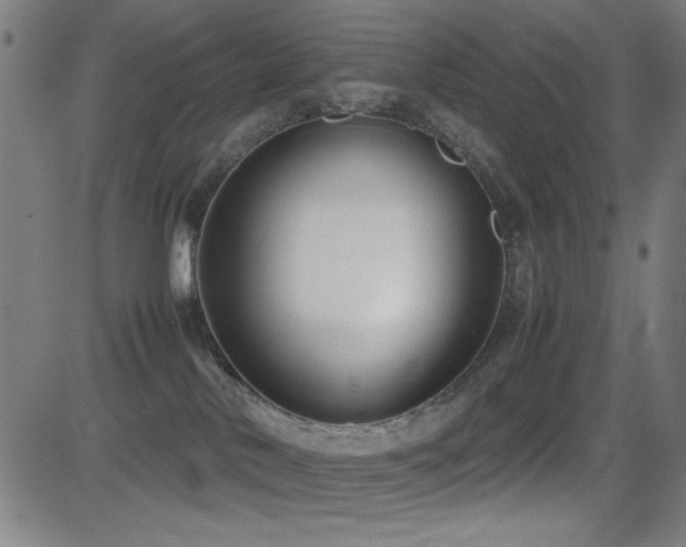 X0000083010042200702021100