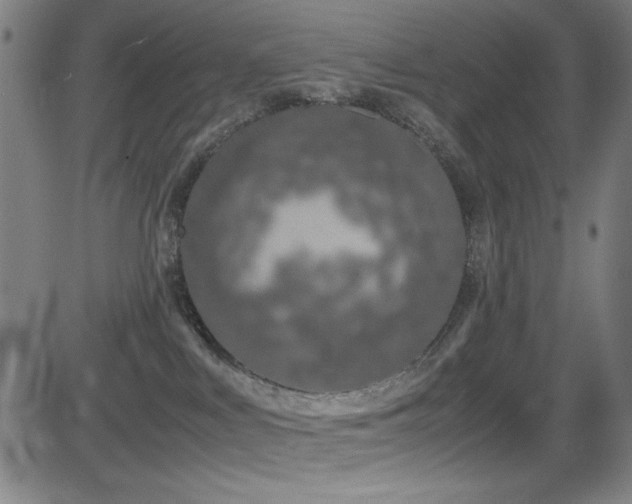 X0000083010043200702021100