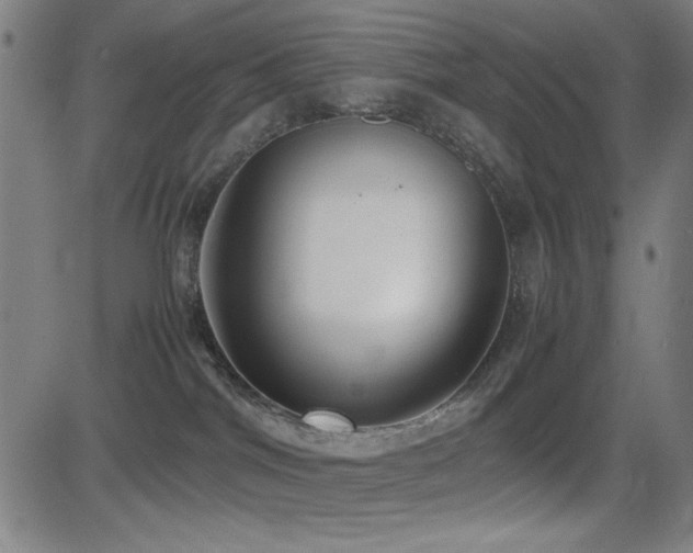 X0000083010044200702021100