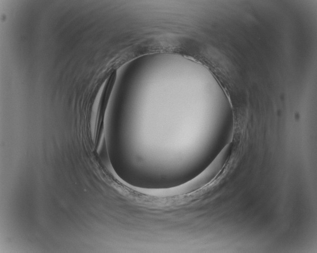 X0000083010045200702021100