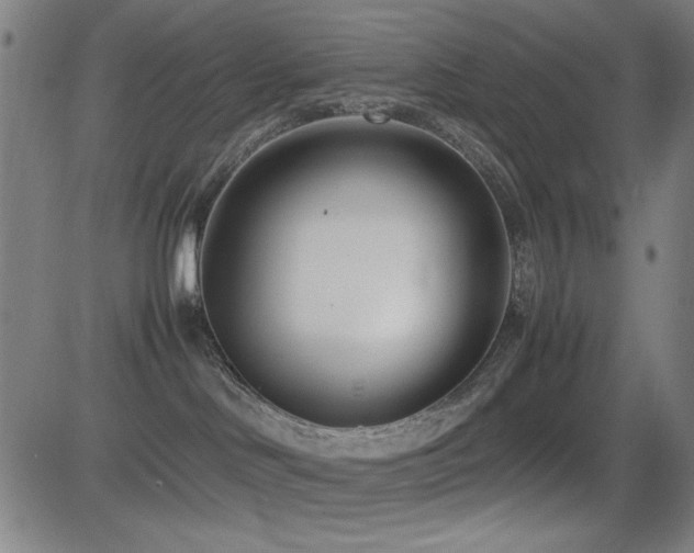 X0000083010046200702021100