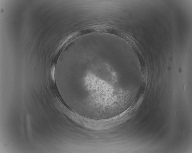 X0000083010047200702021100