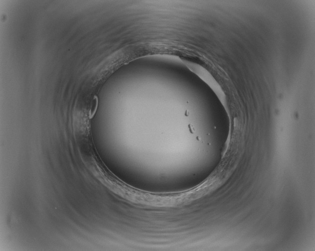 X0000083010048200702021100