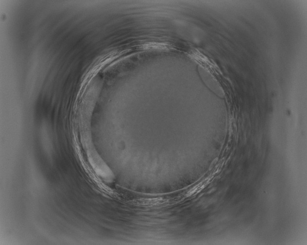 X0000083010049200702021100