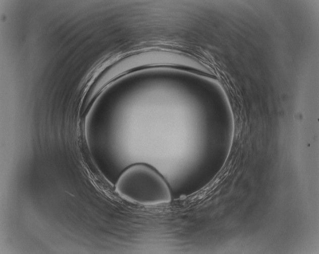 X0000083010050200702021100