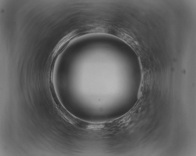 X0000083010051200702021100