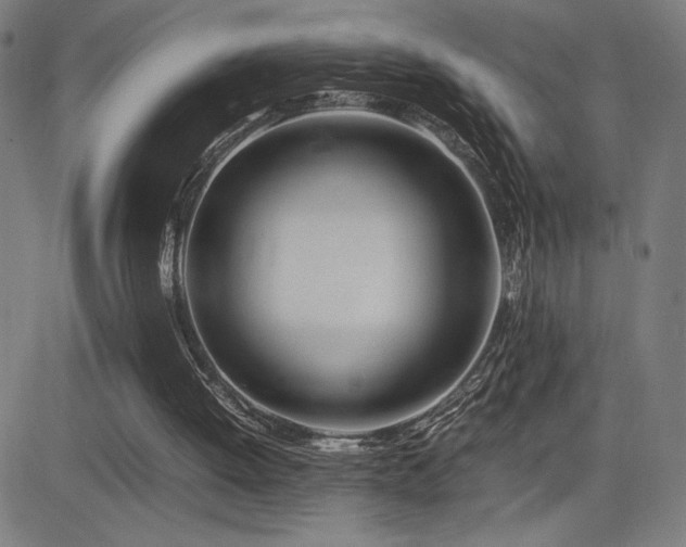 X0000083010052200702021100