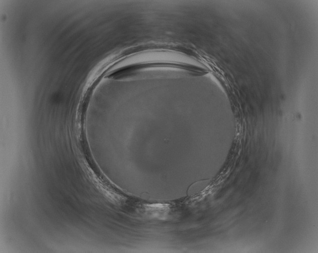 X0000083010053200702021100