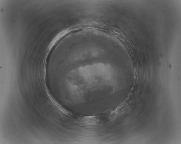 X0000083010054200702021100