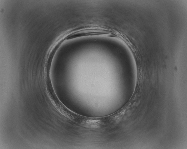 X0000083010055200702021100