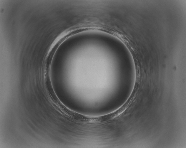 X0000083010056200702021100