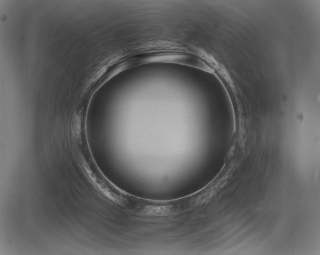 X0000083010057200702021100