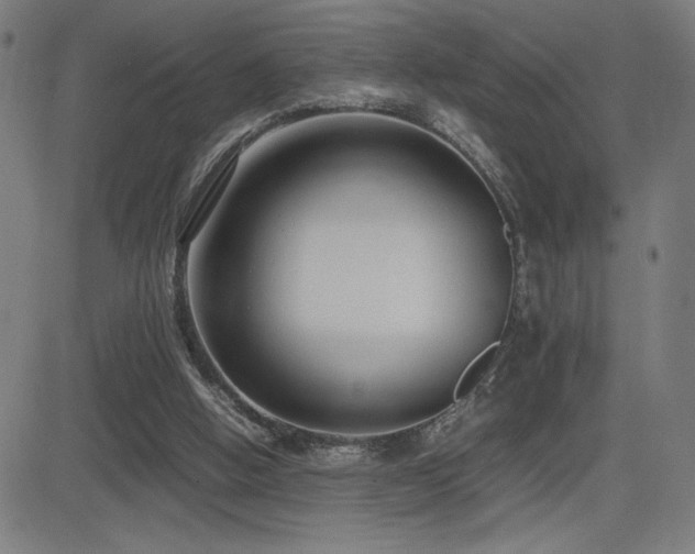 X0000083010058200702021100