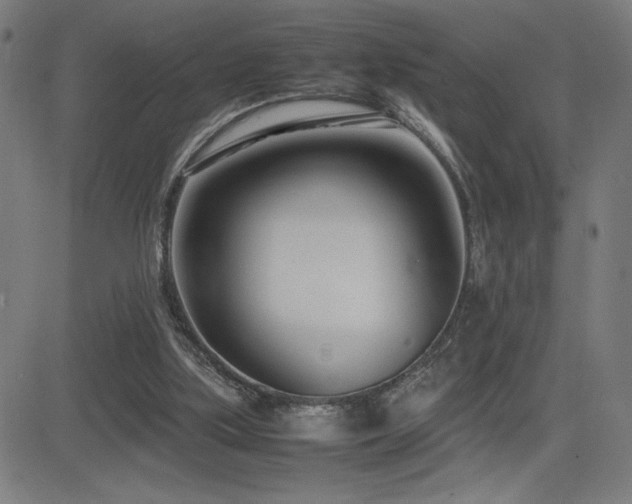 X0000083010059200702021100