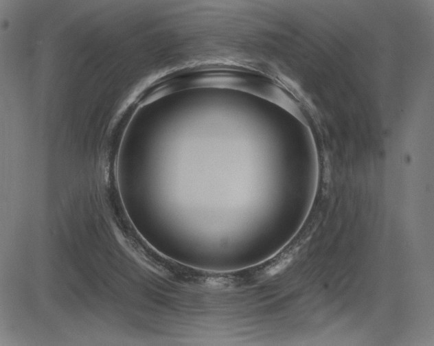 X0000083010060200702021100